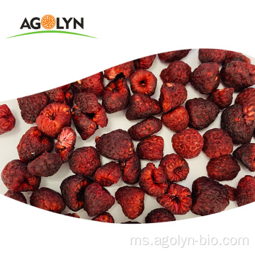 Nutrisi tinggi Red kering raspberry